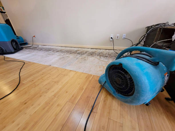 Professional Sewage Cleanup technician working in Hercules, CA